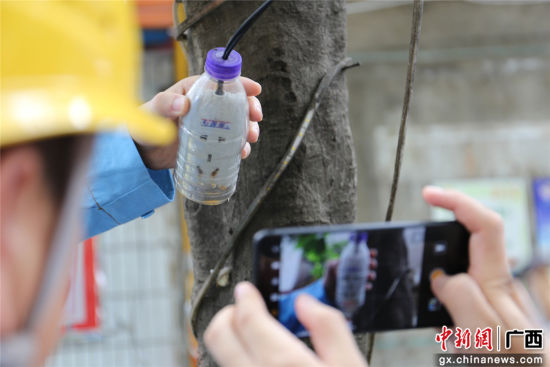 住戶為防止雨天插座漏電而套上的塑料瓶中積水明顯，存在漏電隱患。謝耘 攝